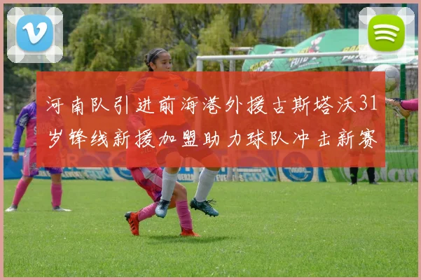 河南队引进前海港外援古斯塔沃31岁锋线新援加盟助力球队冲击新赛季